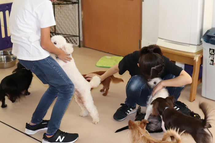 ボランティアさんたち