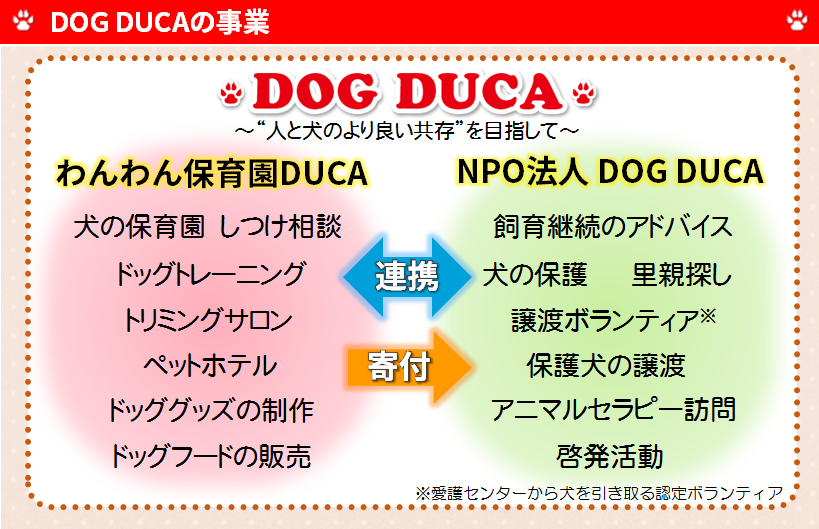 DOG DUCAの事業体制