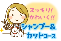 シャンプー＆カット