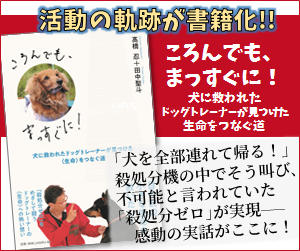 ころんでも、まっすぐに！