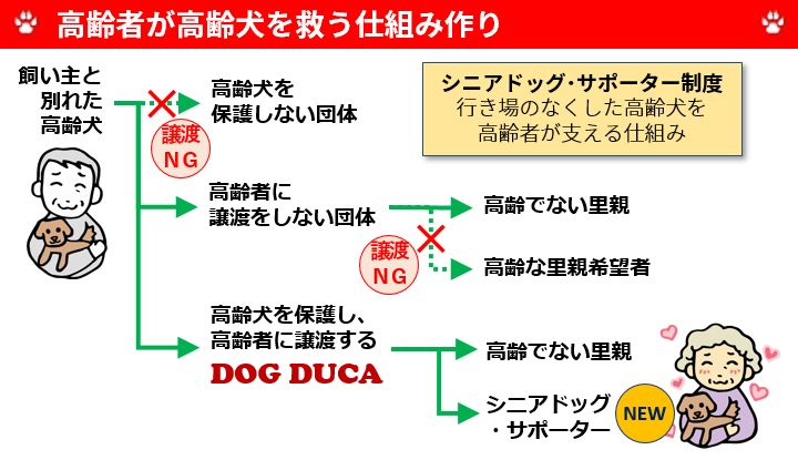 行き場のなくした高齢犬を救う