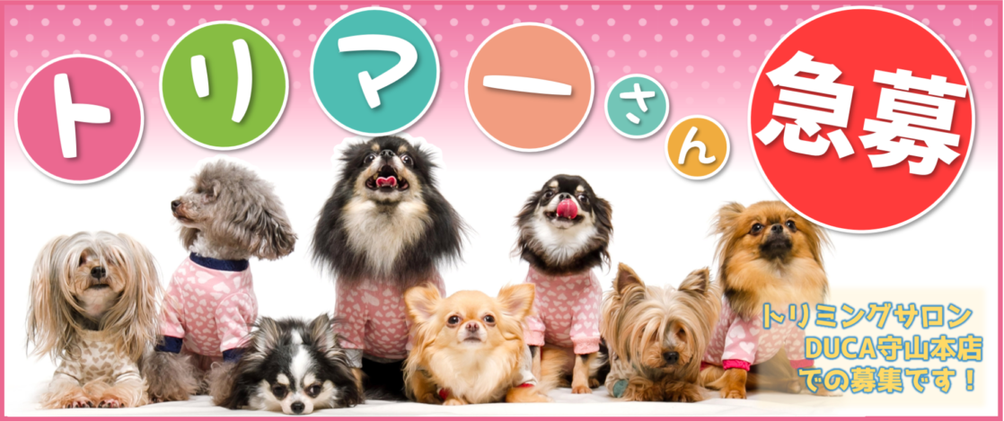 トリマー募集（守山）