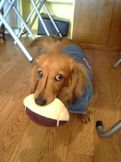 デュッカ(ボール大好き♪)