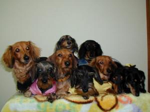 パソコン画面(元)②