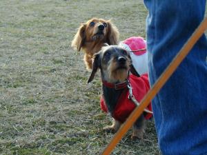 デュッカ＆ミルキー②